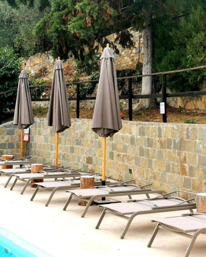 Agriturismo Osteria Du Barba Pe' - Casa Cassini Bordighera Ngoại thất bức ảnh