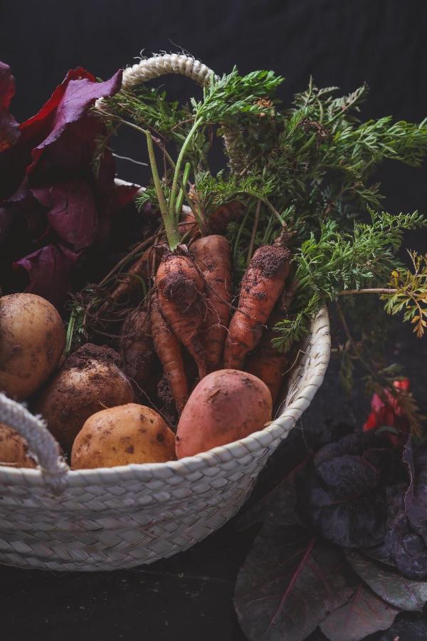 Agriturismo Osteria Du Barba Pe' - Casa Cassini Bordighera Ngoại thất bức ảnh