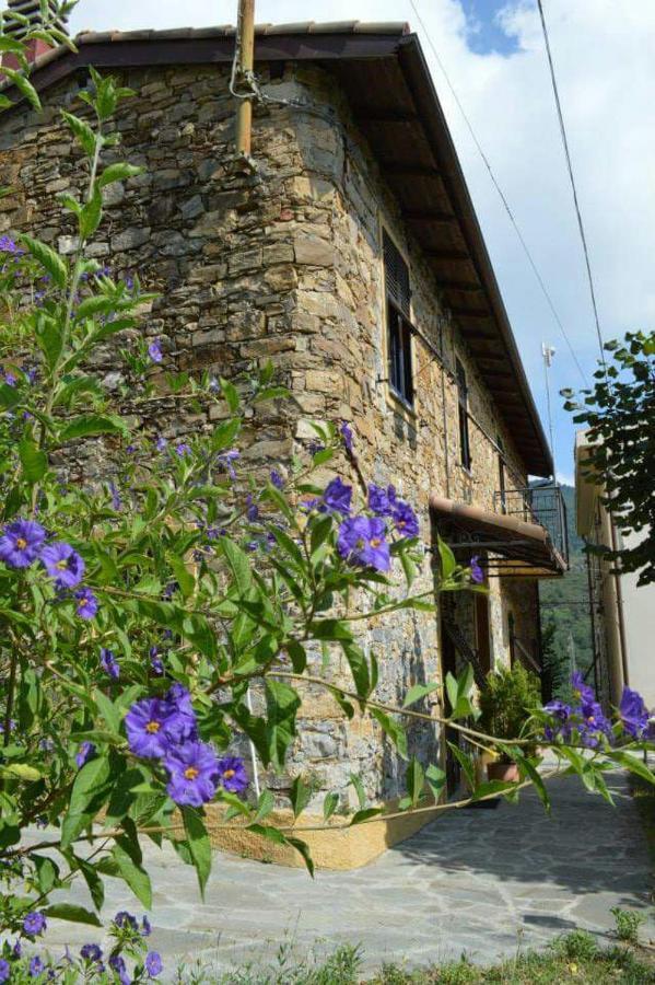 Agriturismo Osteria Du Barba Pe' - Casa Cassini Bordighera Ngoại thất bức ảnh