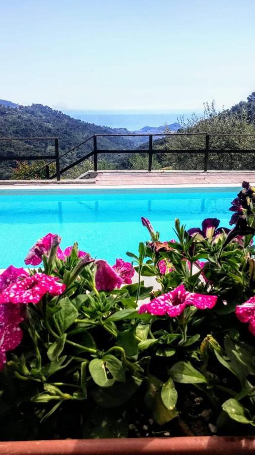 Agriturismo Osteria Du Barba Pe' - Casa Cassini Bordighera Ngoại thất bức ảnh